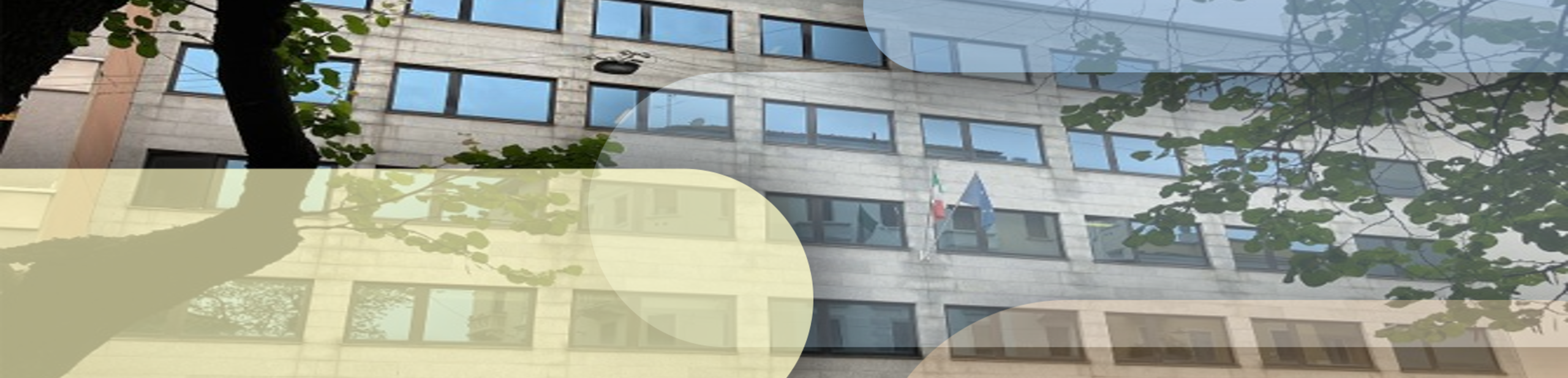 Incontro in memoria di Carlo Vecchio | 10 Dicembre 2025, Milano