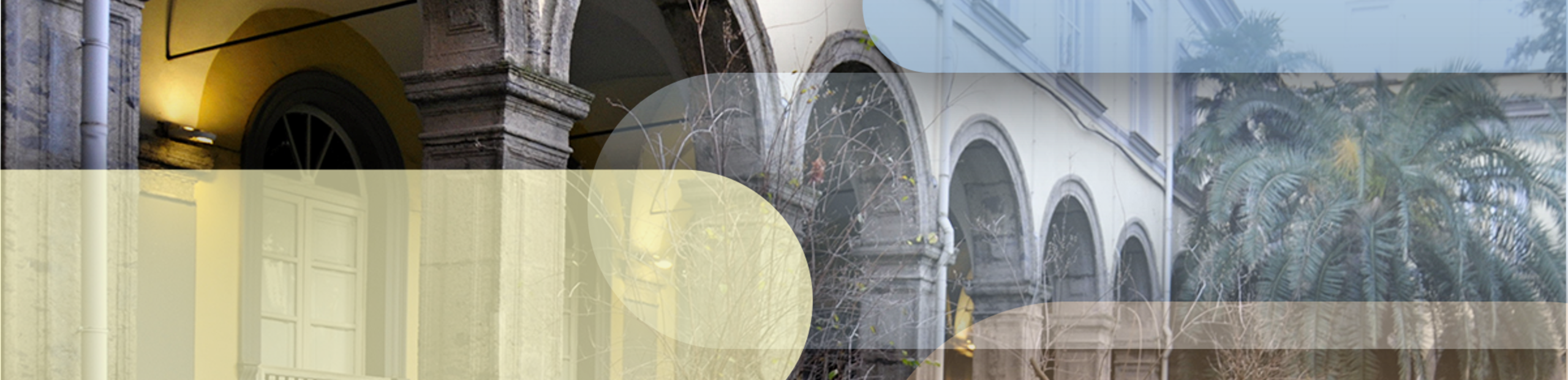 Pharmacovigilance Focus – IV edizione | 30 Settembre 2026 | Napoli